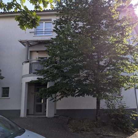 T3 A Merignac, Cosy Et Bien Decore المظهر الخارجي الصورة
